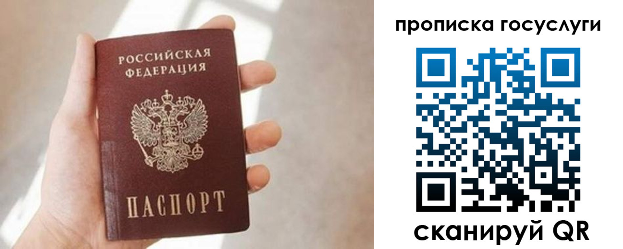 прописка 2025 в Балашихе